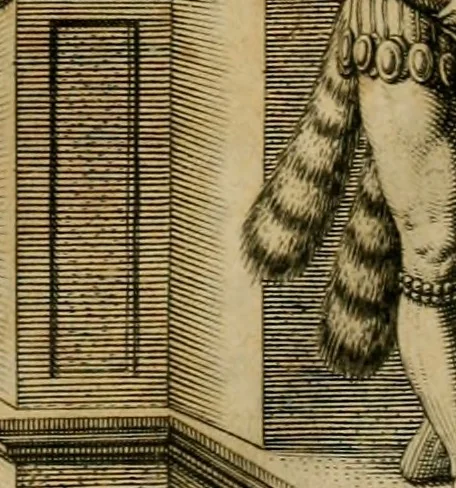 An illustration from Brevis narratio eorvm qvae in Florida Americæ provicia Gallis acciderunt : secunda in illam nauigatione, duce Renato de Laudõniere classis præfecto, anno MDLXIIII, qvae est secvnda pars Americæ : additæ figuræ & incolarum eicones ibidem ad vivu expressæ, brevis item declaratio religionis, rituum, vivendique ratione ipsorum, 1591, leaf 116
