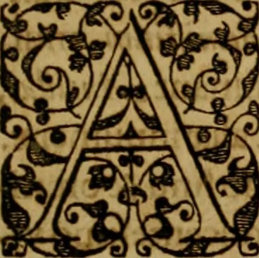 An illustration from Brevis narratio eorvm qvae in Florida Americæ provicia Gallis acciderunt : secunda in illam nauigatione, duce Renato de Laudõniere classis præfecto, anno MDLXIIII, qvae est secvnda pars Americæ : additæ figuræ & incolarum eicones ibidem ad vivu expressæ, brevis item declaratio religionis, rituum, vivendique ratione ipsorum, 1591, leaf 126