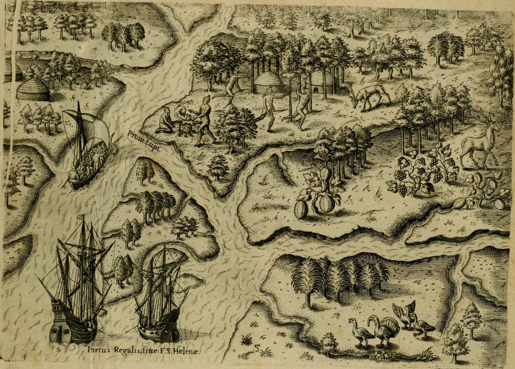 An illustration from Brevis narratio eorvm qvae in Florida Americæ provicia Gallis acciderunt : secunda in illam nauigatione, duce Renato de Laudõniere classis præfecto, anno MDLXIIII, qvae est secvnda pars Americæ : additæ figuræ & incolarum eicones ibidem ad vivu expressæ, brevis item declaratio religionis, rituum, vivendique ratione ipsorum, 1591, leaf 14