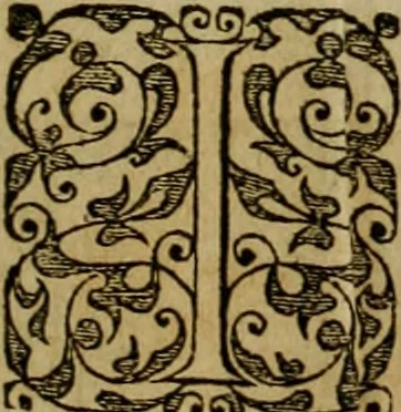 An illustration from Brevis narratio eorvm qvae in Florida Americæ provicia Gallis acciderunt : secunda in illam nauigatione, duce Renato de Laudõniere classis præfecto, anno MDLXIIII, qvae est secvnda pars Americæ : additæ figuræ & incolarum eicones ibidem ad vivu expressæ, brevis item declaratio religionis, rituum, vivendique ratione ipsorum, 1591, leaf 14