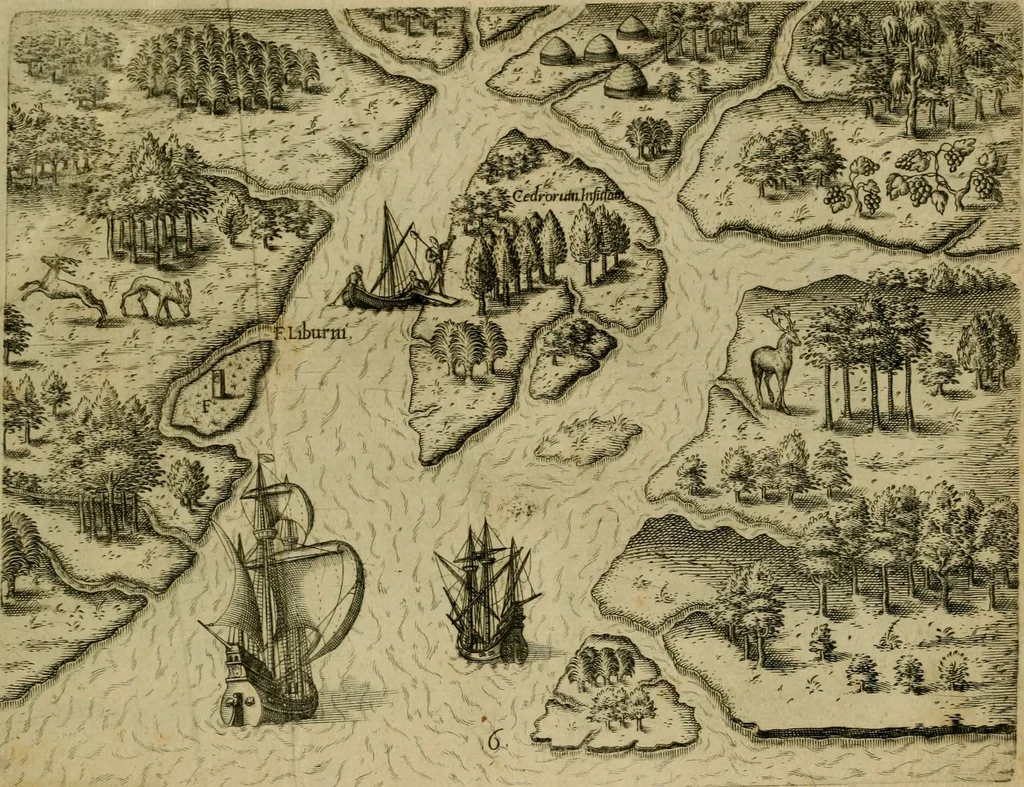 An illustration from Brevis narratio eorvm qvae in Florida Americæ provicia Gallis acciderunt : secunda in illam nauigatione, duce Renato de Laudõniere classis præfecto, anno MDLXIIII, qvae est secvnda pars Americæ : additæ figuræ & incolarum eicones ibidem ad vivu expressæ, brevis item declaratio religionis, rituum, vivendique ratione ipsorum, 1591, leaf 16