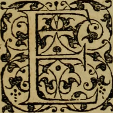 An illustration from Brevis narratio eorvm qvae in Florida Americæ provicia Gallis acciderunt : secunda in illam nauigatione, duce Renato de Laudõniere classis præfecto, anno MDLXIIII, qvae est secvnda pars Americæ : additæ figuræ & incolarum eicones ibidem ad vivu expressæ, brevis item declaratio religionis, rituum, vivendique ratione ipsorum, 1591, leaf 30
