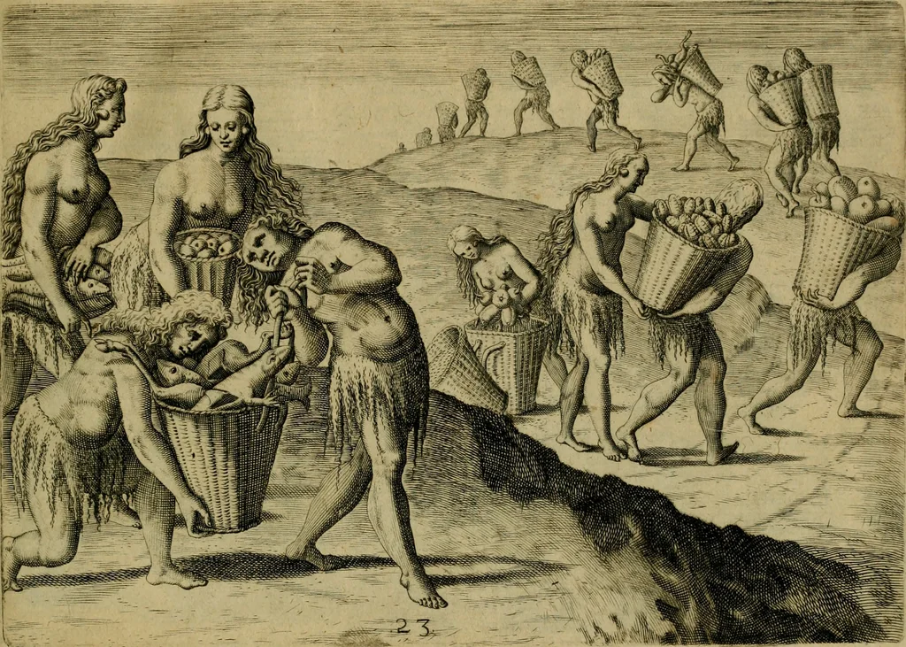 An illustration from Brevis narratio eorvm qvae in Florida Americæ provicia Gallis acciderunt : secunda in illam nauigatione, duce Renato de Laudõniere classis præfecto, anno MDLXIIII, qvae est secvnda pars Americæ : additæ figuræ & incolarum eicones ibidem ad vivu expressæ, brevis item declaratio religionis, rituum, vivendique ratione ipsorum, 1591, leaf 50
