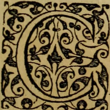 An illustration from Brevis narratio eorvm qvae in Florida Americæ provicia Gallis acciderunt : secunda in illam nauigatione, duce Renato de Laudõniere classis præfecto, anno MDLXIIII, qvae est secvnda pars Americæ : additæ figuræ & incolarum eicones ibidem ad vivu expressæ, brevis item declaratio religionis, rituum, vivendique ratione ipsorum, 1591, leaf 8