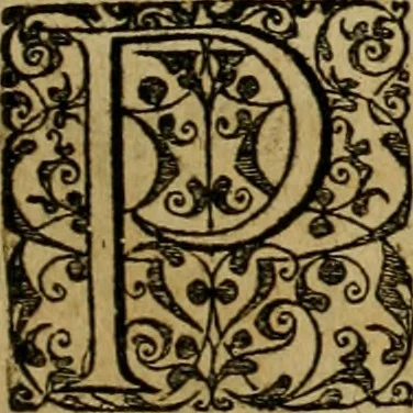An illustration from Brevis narratio eorvm qvae in Florida Americæ provicia Gallis acciderunt : secunda in illam nauigatione, duce Renato de Laudõniere classis præfecto, anno MDLXIIII, qvae est secvnda pars Americæ : additæ figuræ & incolarum eicones ibidem ad vivu expressæ, brevis item declaratio religionis, rituum, vivendique ratione ipsorum, 1591, leaf 80