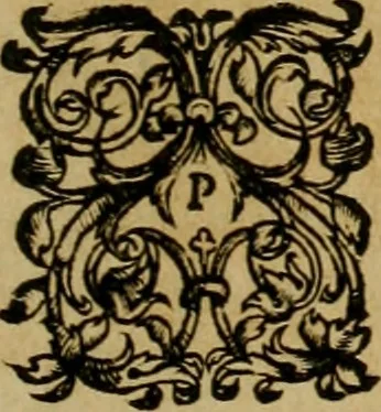 An illustration from Brevis narratio eorvm qvae in Florida Americæ provicia Gallis acciderunt : secunda in illam nauigatione, duce Renato de Laudõniere classis præfecto, anno MDLXIIII, qvae est secvnda pars Americæ : additæ figuræ & incolarum eicones ibidem ad vivu expressæ, brevis item declaratio religionis, rituum, vivendique ratione ipsorum, 1591, leaf 84