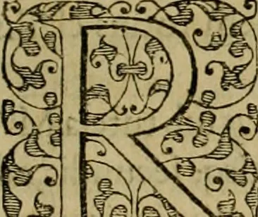 An illustration from Brevis narratio eorvm qvae in Florida Americæ provicia Gallis acciderunt : secunda in illam nauigatione, duce Renato de Laudõniere classis præfecto, anno MDLXIIII, qvae est secvnda pars Americæ : additæ figuræ & incolarum eicones ibidem ad vivu expressæ, brevis item declaratio religionis, rituum, vivendique ratione ipsorum, 1591, leaf 88