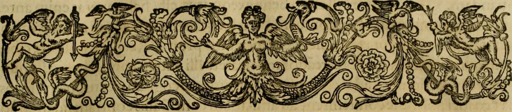 An illustration from Brevis narratio eorvm qvae in Florida Americæ provicia Gallis acciderunt : secunda in illam nauigatione, duce Renato de Laudõniere classis præfecto, anno MDLXIIII, qvae est secvnda pars Americæ : additæ figuræ & incolarum eicones ibidem ad vivu expressæ, brevis item declaratio religionis, rituum, vivendique ratione ipsorum, 1591, leaf 94