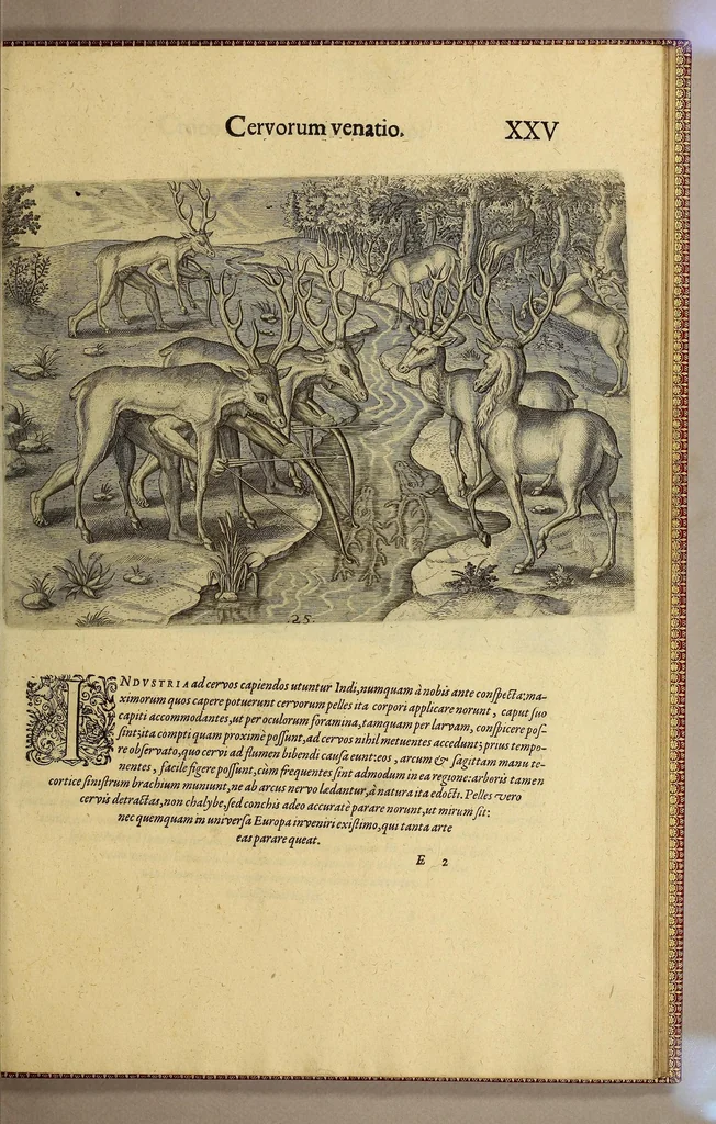An illustration from Brevis narratio eorum quae in Florida Americae provi[n]cia Gallis acciderunt, : secunda in illam nauigatione, duce Renato de Laudo[n]niere classis praefecto anno M D LXIIII. Quae est secunda pars Americae. Additae figurae et incolarum eicones ibidem ad vivu[m] espressae brevis item declaratio religionis, rituum, vivendique ratione ipsorum., 1609, leaf 111