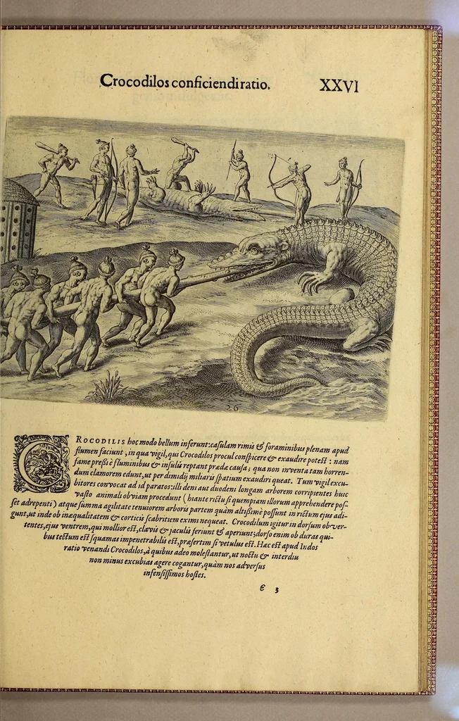 An illustration from Brevis narratio eorum quae in Florida Americae provi[n]cia Gallis acciderunt, : secunda in illam nauigatione, duce Renato de Laudo[n]niere classis praefecto anno M D LXIIII. Quae est secunda pars Americae. Additae figurae et incolarum eicones ibidem ad vivu[m] espressae brevis item declaratio religionis, rituum, vivendique ratione ipsorum., 1609, leaf 113