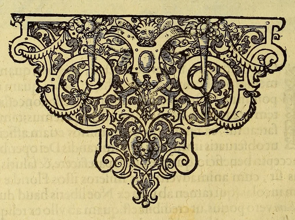 An illustration from Brevis narratio eorum quae in Florida Americae provi[n]cia Gallis acciderunt, : secunda in illam nauigatione, duce Renato de Laudo[n]niere classis praefecto anno M D LXIIII. Quae est secunda pars Americae. Additae figurae et incolarum eicones ibidem ad vivu[m] espressae brevis item declaratio religionis, rituum, vivendique ratione ipsorum., 1609, leaf 12