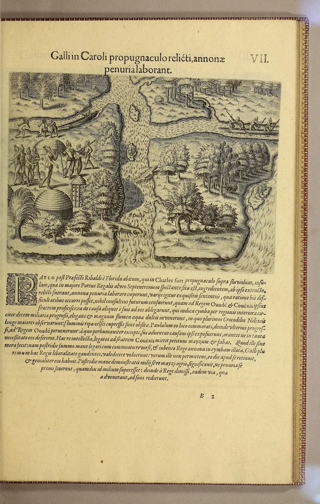 An illustration from Brevis narratio eorum quae in Florida Americae provi[n]cia Gallis acciderunt, : secunda in illam nauigatione, duce Renato de Laudo[n]niere classis praefecto anno M D LXIIII. Quae est secunda pars Americae. Additae figurae et incolarum eicones ibidem ad vivu[m] espressae brevis item declaratio religionis, rituum, vivendique ratione ipsorum., 1609, leaf 75