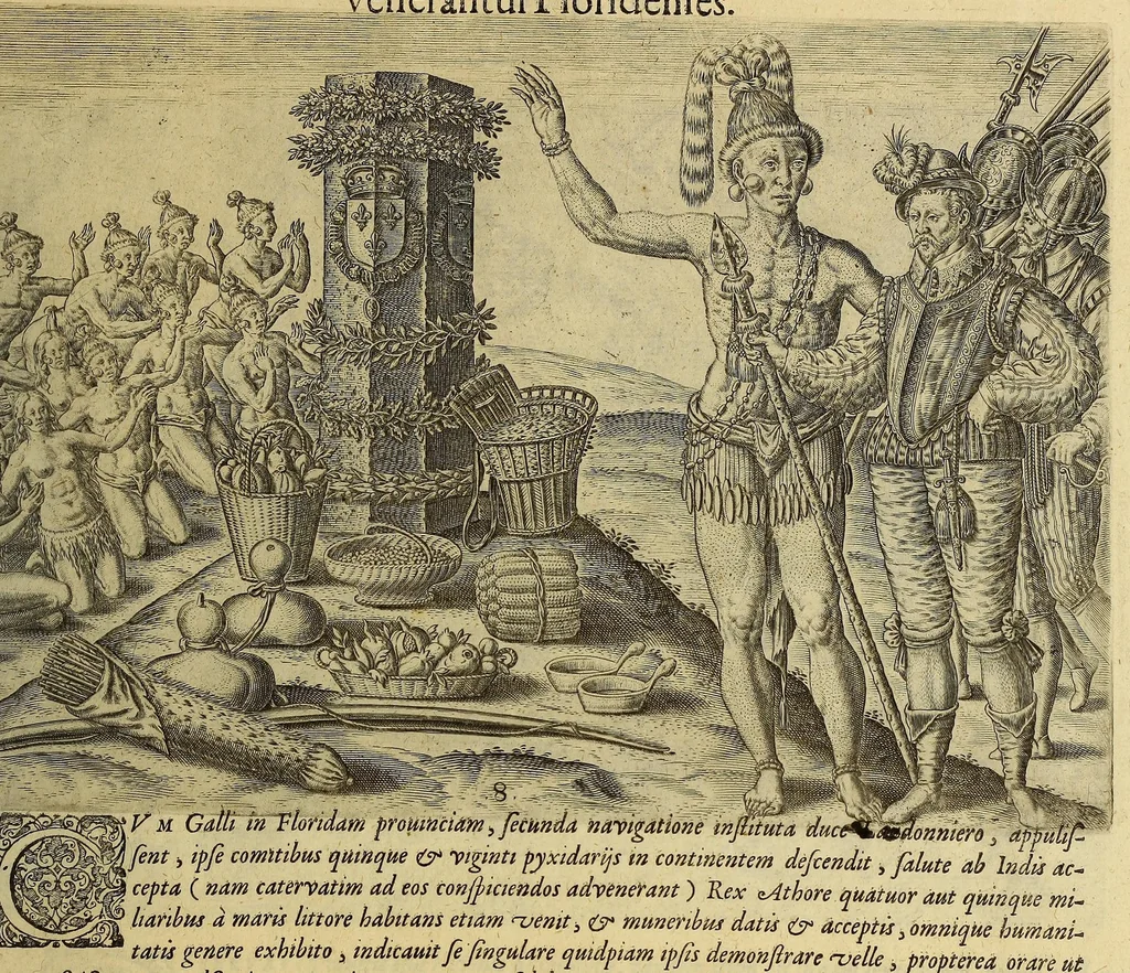An illustration from Brevis narratio eorum quae in Florida Americae provi[n]cia Gallis acciderunt, : secunda in illam nauigatione, duce Renato de Laudo[n]niere classis praefecto anno M D LXIIII. Quae est secunda pars Americae. Additae figurae et incolarum eicones ibidem ad vivu[m] espressae brevis item declaratio religionis, rituum, vivendique ratione ipsorum., 1609, leaf 77