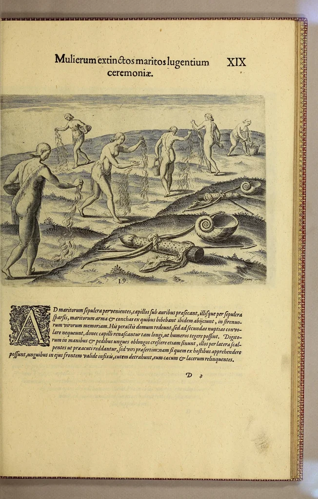 An illustration from Brevis narratio eorum quae in Florida Americae provi[n]cia Gallis acciderunt, : secunda in illam nauigatione, duce Renato de Laudo[n]niere classis praefecto anno M D LXIIII. Quae est secunda pars Americae. Additae figurae et incolarum eicones ibidem ad vivu[m] espressae brevis item declaratio religionis, rituum, vivendique ratione ipsorum., 1609, leaf 99
