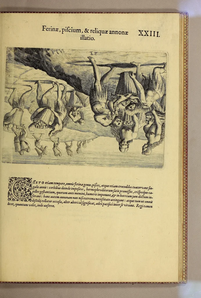 An illustration from Brevis narratio eorum quae in Florida Americae provi[n]cia Gallis acciderunt, : secunda in illam nauigatione, duce Renato de Laudo[n]niere classis praefecto anno M D LXIIII. Quae est secunda pars Americae. Additae figurae et incolarum eicones ibidem ad vivu[m] espressae brevis item declaratio religionis, rituum, vivendique ratione ipsorum., 1591, leaf 105