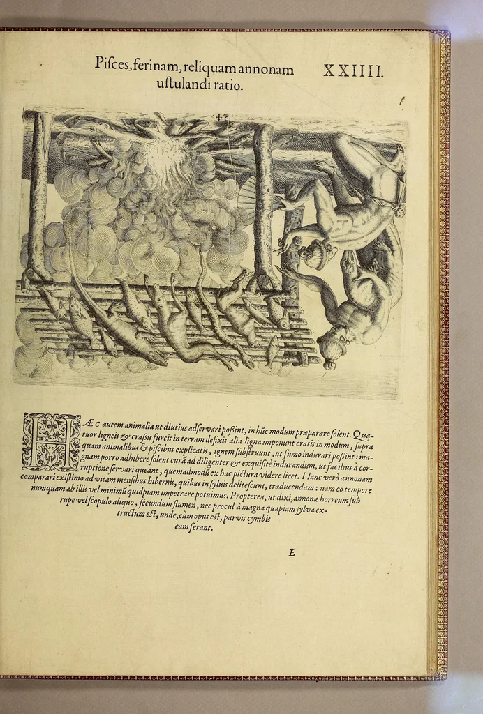 An illustration from Brevis narratio eorum quae in Florida Americae provi[n]cia Gallis acciderunt, : secunda in illam nauigatione, duce Renato de Laudo[n]niere classis praefecto anno M D LXIIII. Quae est secunda pars Americae. Additae figurae et incolarum eicones ibidem ad vivu[m] espressae brevis item declaratio religionis, rituum, vivendique ratione ipsorum., 1591, leaf 107