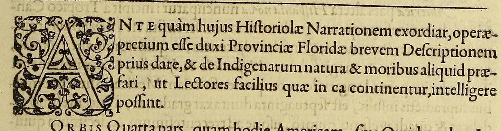 An illustration from Brevis narratio eorum quae in Florida Americae provi[n]cia Gallis acciderunt, : secunda in illam nauigatione, duce Renato de Laudo[n]niere classis praefecto anno M D LXIIII. Quae est secunda pars Americae. Additae figurae et incolarum eicones ibidem ad vivu[m] espressae brevis item declaratio religionis, rituum, vivendique ratione ipsorum., 1591, leaf 19