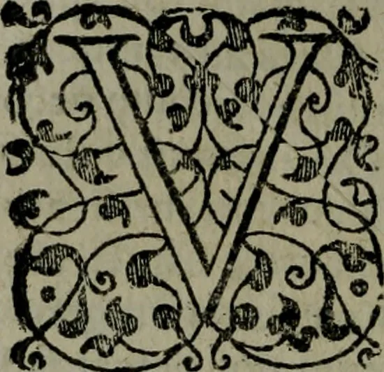 An illustration from Brevis & perspicua explicatio Psalmorum Dauidis. Decas prima [-quinta], 1567, leaf 335