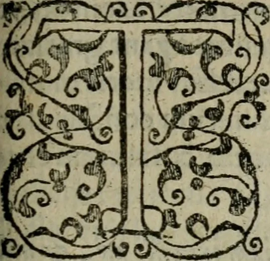 An illustration from Brevis & perspicua explicatio Psalmorum Dauidis. Decas prima [-quinta], 1567, leaf 460