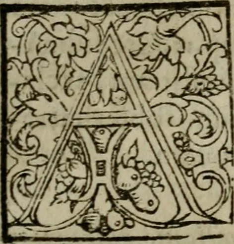 An illustration from Brevis & perspicua explicatio Psalmorum Dauidis. Decas prima [-quinta], 1567, leaf 530