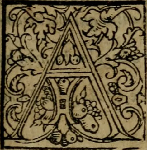 An illustration from Brevis & perspicua explicatio Psalmorum Dauidis. Decas prima [-quinta], 1567, leaf 580