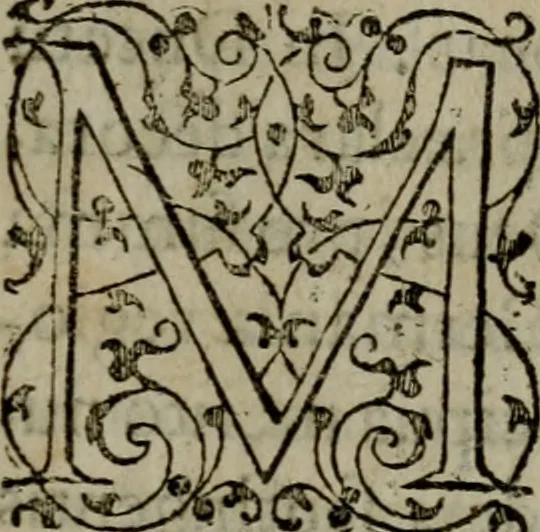 An illustration from Brevis & perspicua explicatio Psalmorum Dauidis. Decas prima [-quinta], 1567, leaf 6