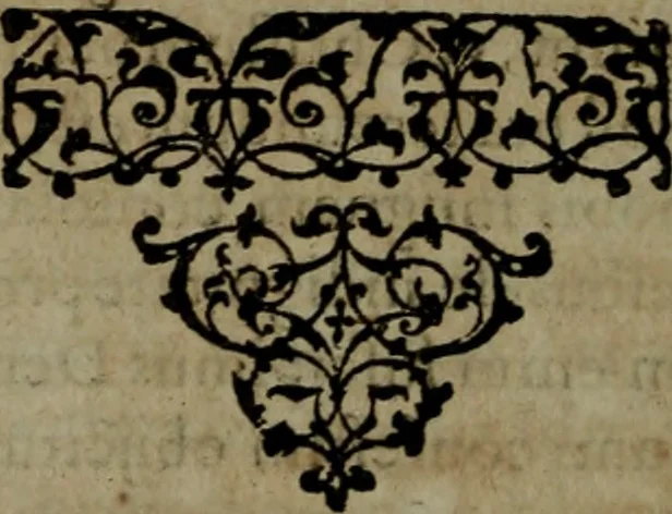 An illustration from Brevis & perspicua explicatio Psalmorum Dauidis. Decas prima [-quinta], 1567, leaf 803
