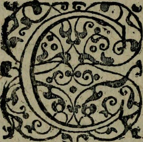 An illustration from Brevis & perspicua explicatio Psalmorum Dauidis. Decas prima [-quinta], 1567, leaf 993