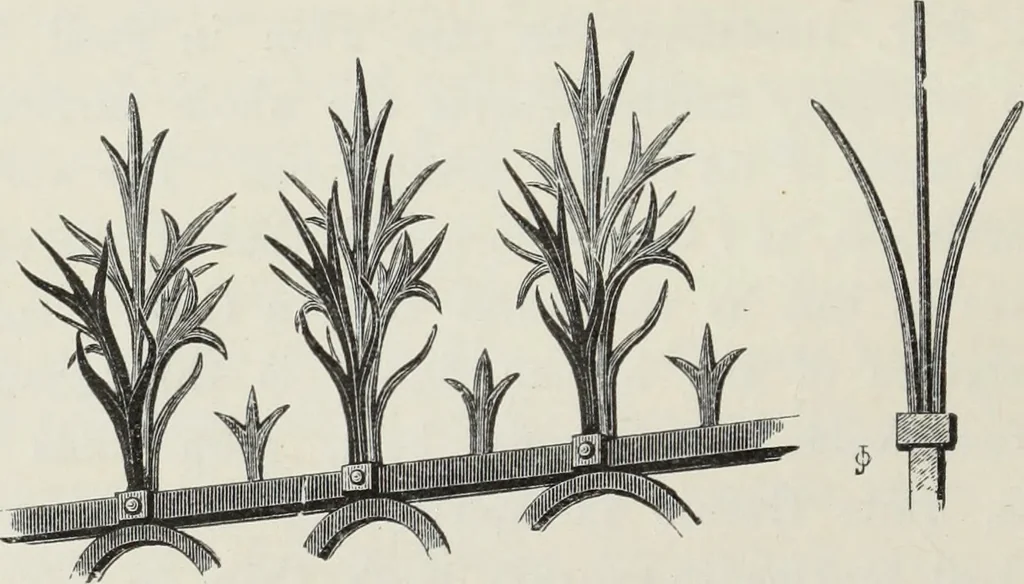 An illustration from Brick and marble in the Middle Ages : notes of tours in the north of Italy, 1874, leaf 155