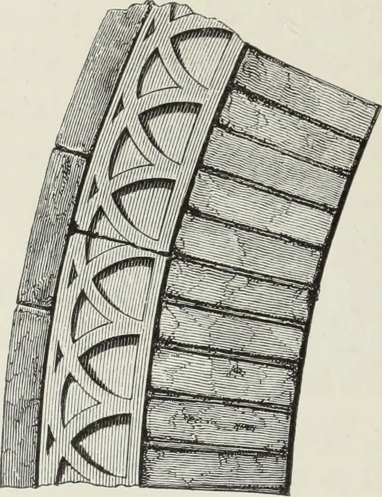 An illustration from Brick and marble in the Middle Ages : notes of tours in the north of Italy, 1874, leaf 551