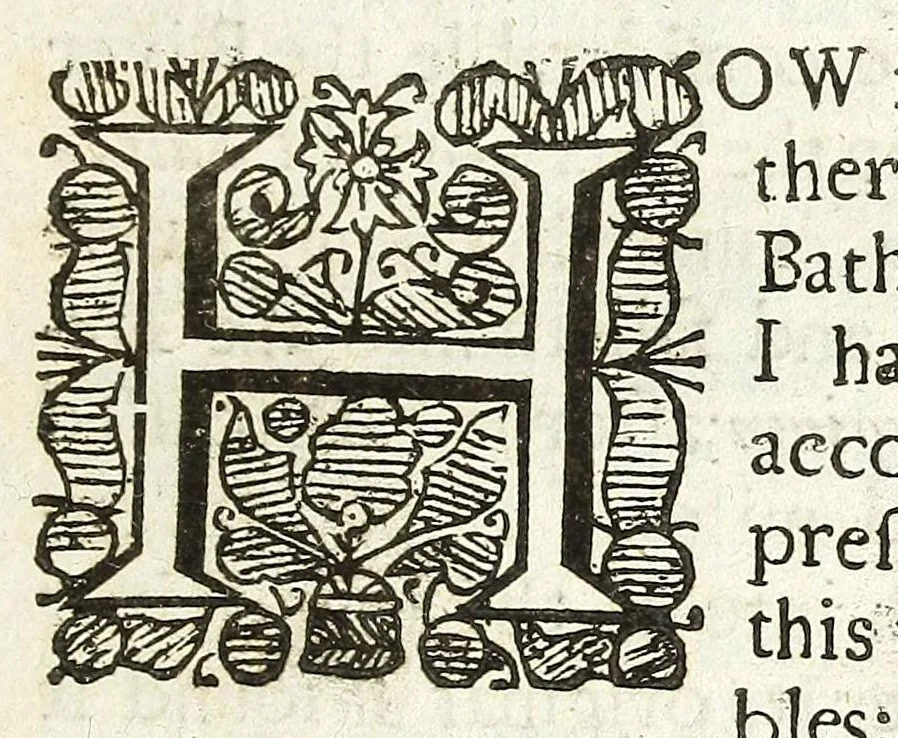 An illustration from A brief account of some travels in Hungaria, Servia, Bulgaria, Macedonia, Thessaly, Austria, Styria, Carinthia, Carniola, and Friuli : as also some observations on the gold, silver, copper, quick-silver mines, baths, and mineral waters in those parts : with the figures of some habits and remarkable places, 1673, leaf 15