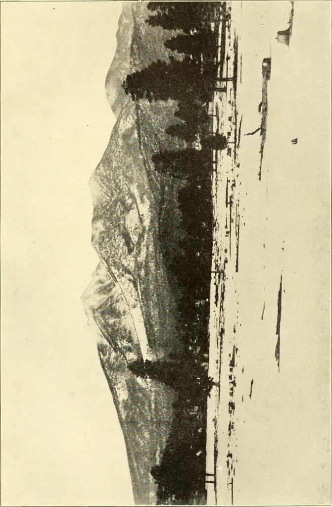 An illustration from Brief biography and popular account of the unparalleled discoveries of T. J. J. See .., 1913, leaf 132