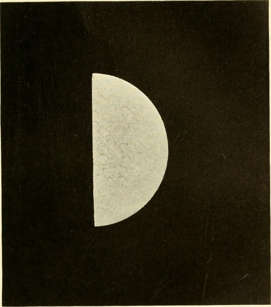 An illustration from Brief biography and popular account of the unparalleled discoveries of T. J. J. See .., 1913, leaf 158