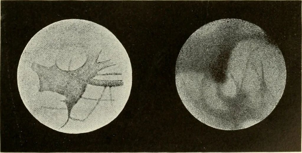 An illustration from Brief biography and popular account of the unparalleled discoveries of T. J. J. See .., 1913, leaf 162