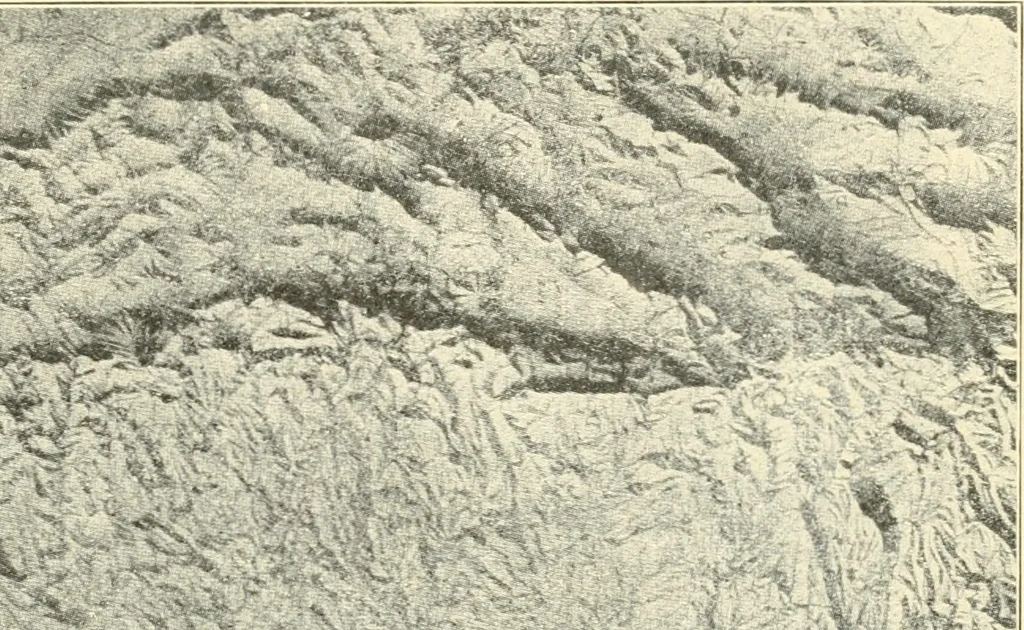 An illustration from Brief biography and popular account of the unparalleled discoveries of T. J. J. See .., 1913, leaf 250