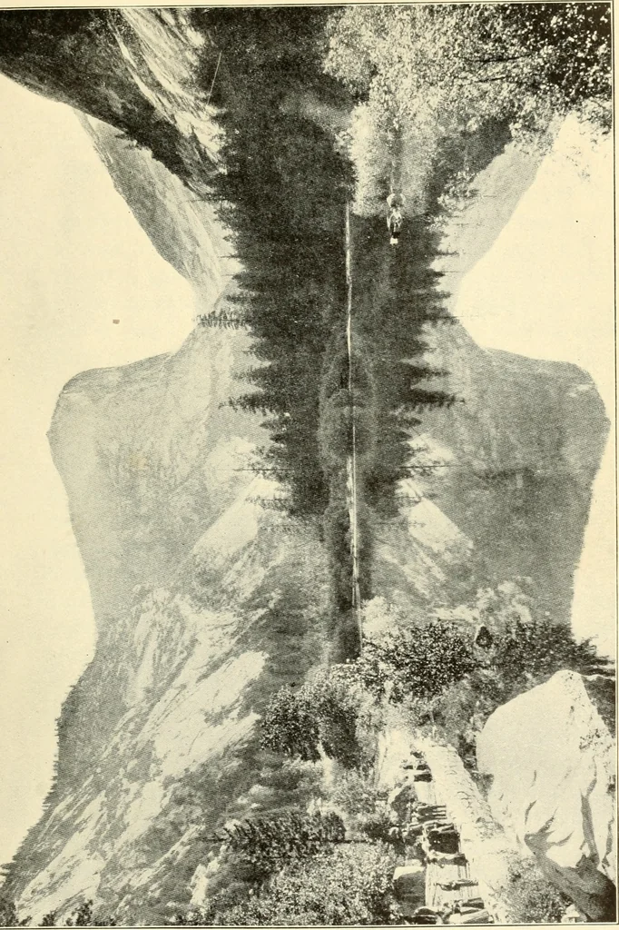 An illustration from Brief biography and popular account of the unparalleled discoveries of T. J. J. See .., 1913, leaf 258