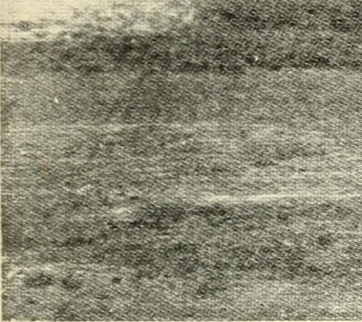 An illustration from Brief biography and popular account of the unparalleled discoveries of T. J. J. See .., 1913, leaf 262