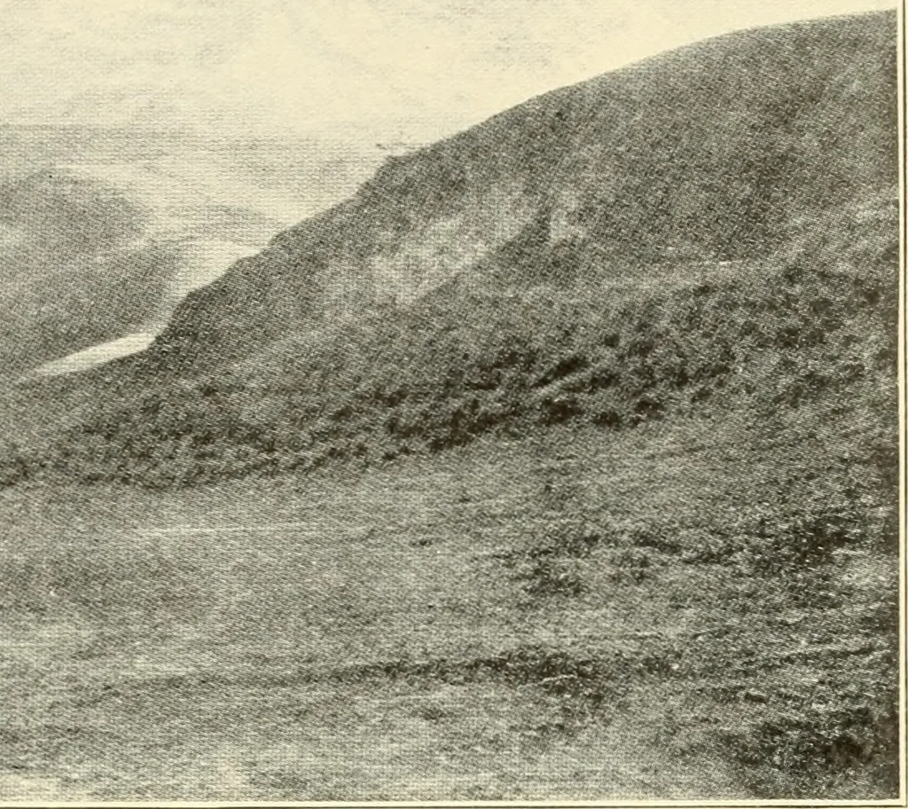 An illustration from Brief biography and popular account of the unparalleled discoveries of T. J. J. See .., 1913, leaf 262