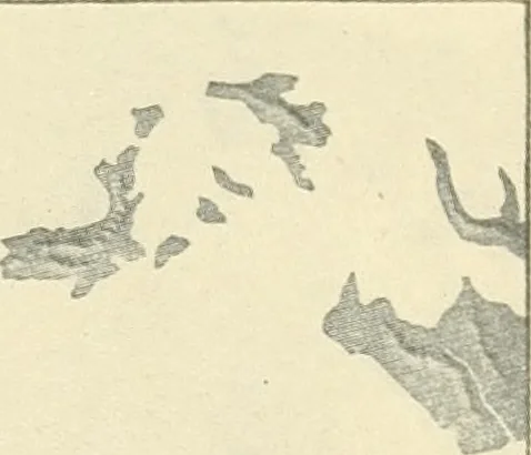 An illustration from Brief biography and popular account of the unparalleled discoveries of T. J. J. See .., 1913, leaf 274
