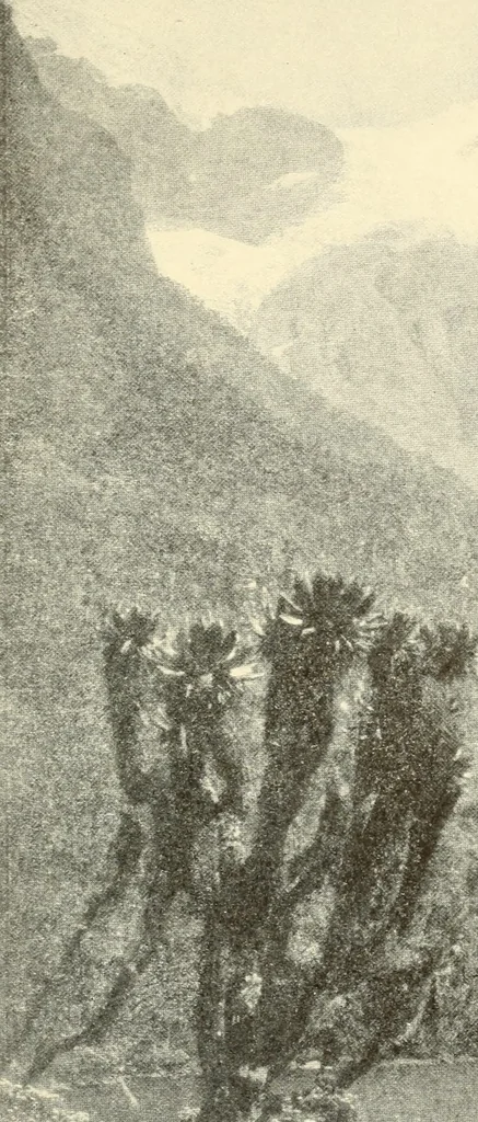 An illustration from Brief biography and popular account of the unparalleled discoveries of T. J. J. See .., 1913, leaf 314