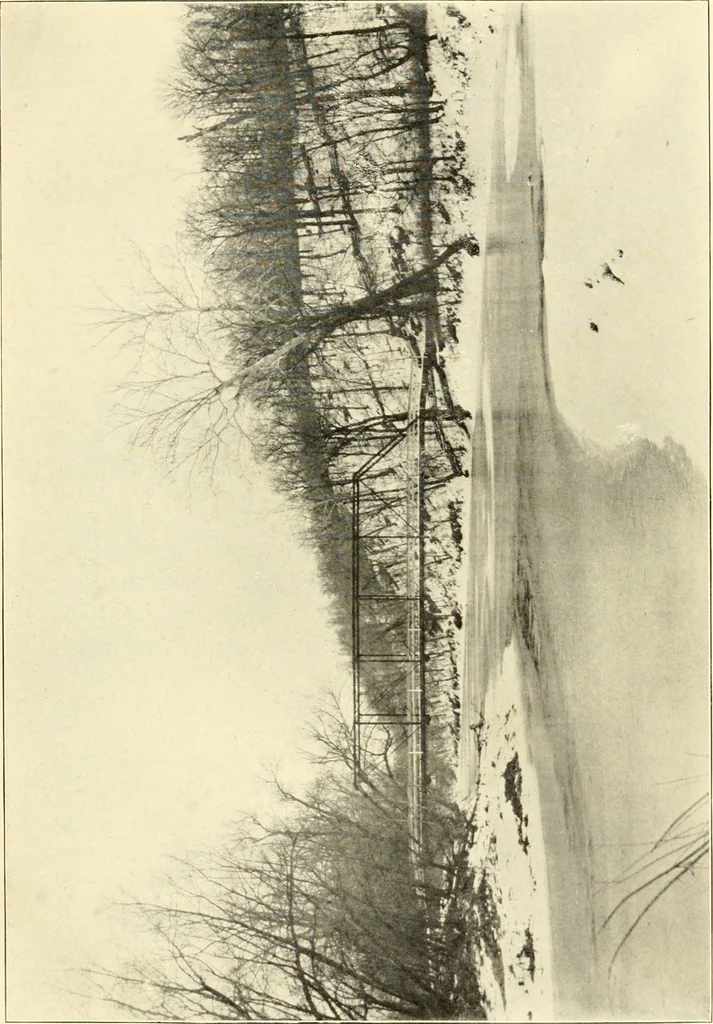 An illustration from Brief biography and popular account of the unparalleled discoveries of T. J. J. See .., 1913, leaf 52