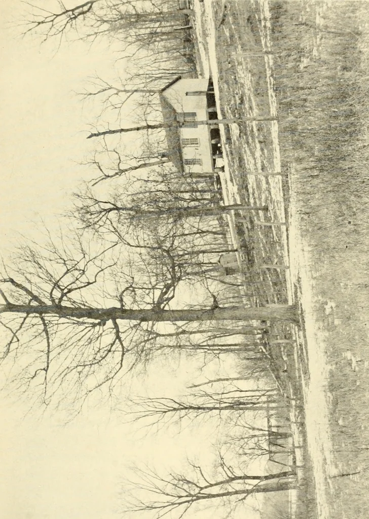 An illustration from Brief biography and popular account of the unparalleled discoveries of T. J. J. See .., 1913, leaf 56