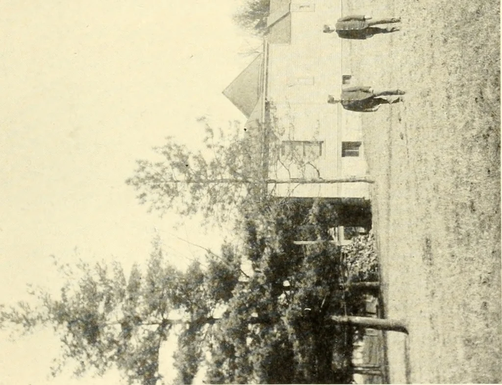An illustration from Brief biography and popular account of the unparalleled discoveries of T. J. J. See .., 1913, leaf 90