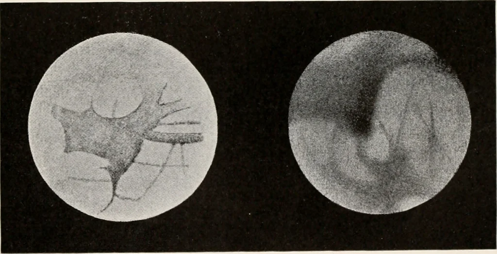 An illustration from Brief biography and popular account of the unparalleled discoveries of T.J.J. See, 1913, leaf 160