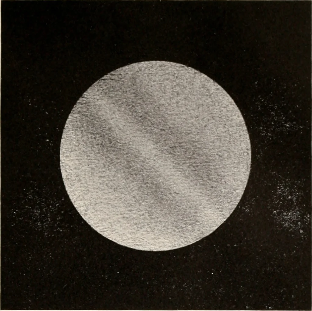 An illustration from Brief biography and popular account of the unparalleled discoveries of T.J.J. See, 1913, leaf 166