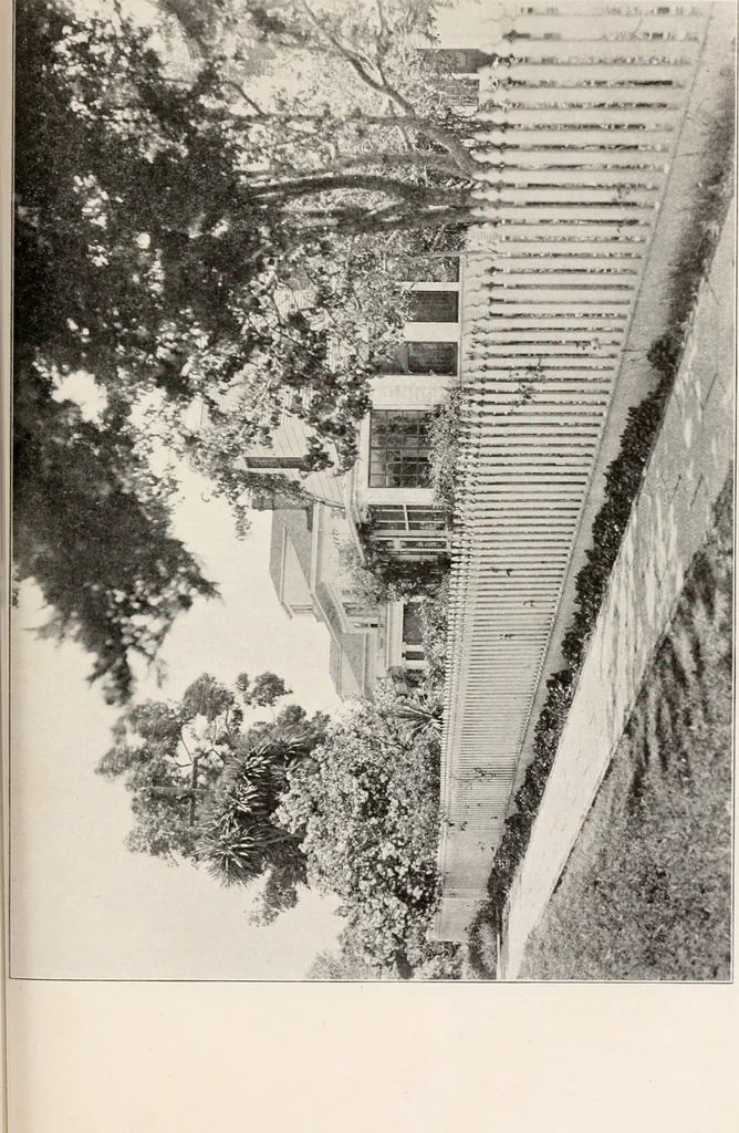 An illustration from Brief biography and popular account of the unparalleled discoveries of T.J.J. See, 1913, leaf 178