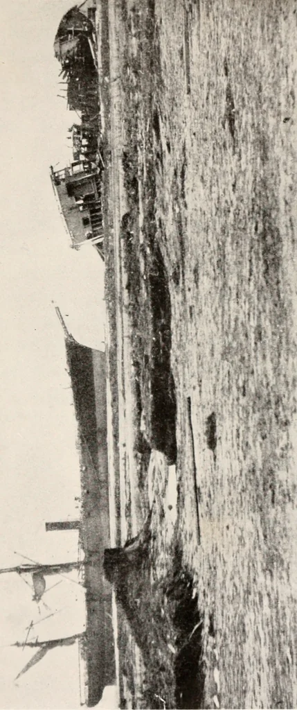 An illustration from Brief biography and popular account of the unparalleled discoveries of T.J.J. See, 1913, leaf 244