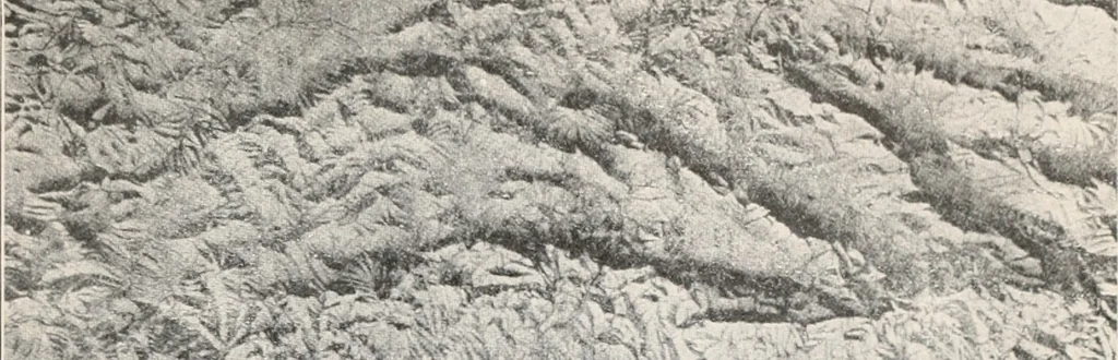 An illustration from Brief biography and popular account of the unparalleled discoveries of T.J.J. See, 1913, leaf 248