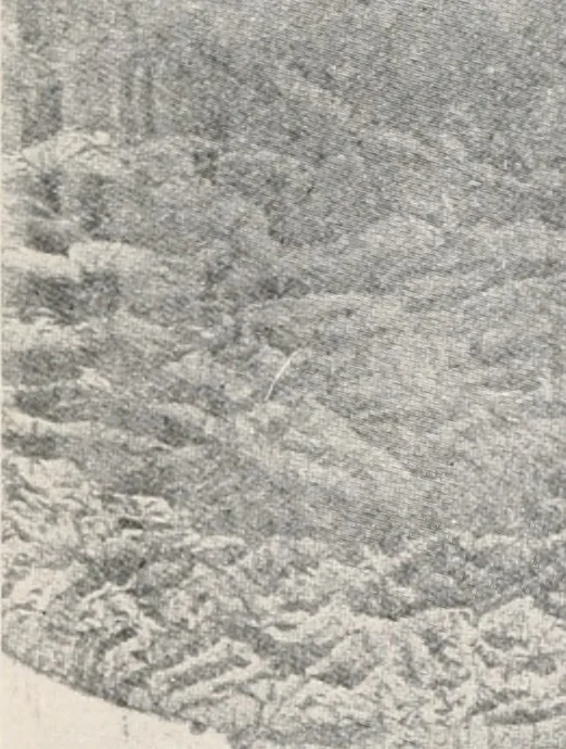 An illustration from Brief biography and popular account of the unparalleled discoveries of T.J.J. See, 1913, leaf 248