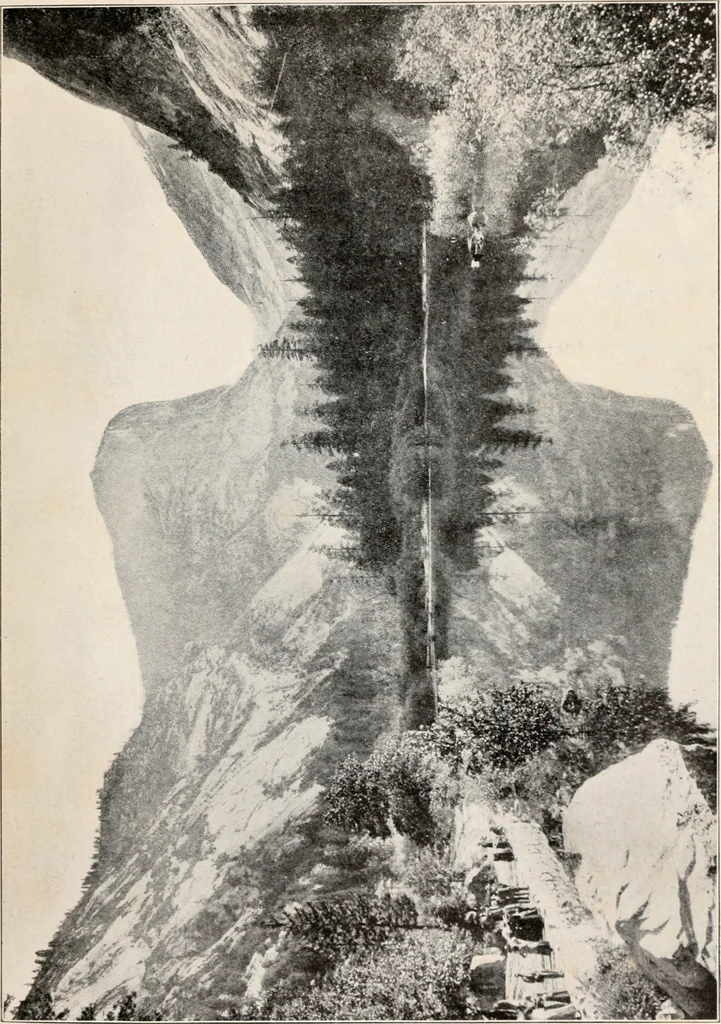 An illustration from Brief biography and popular account of the unparalleled discoveries of T.J.J. See, 1913, leaf 256